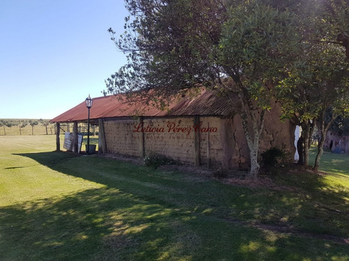 Venta De Chacra 46 Has Y Media Las Cañas Con Muy Buena Produccion De Olivos - Ref: 18579