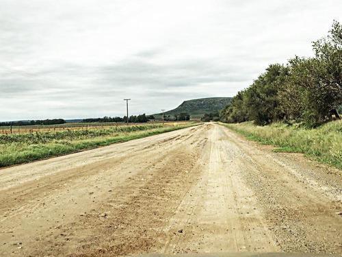 Imagen 3 de 15 de Campo - Balcarce