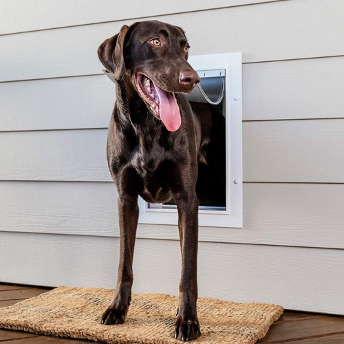 Petsafe Wall Entry Pet Door With Telescoping Tunnel White, M