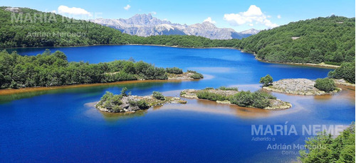 Campo En El Manso