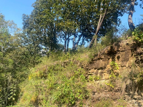 Terreno En Venta En Ex Hacienda San Lucas Del Pulque.