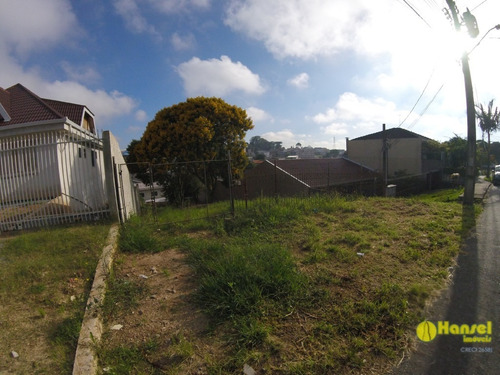 Imagem 5 de 10 de Terreno Para Venda - 90815.001