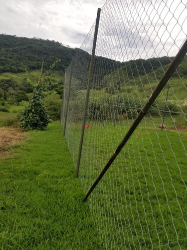 Tela Alambrado Fio 12 Malha 2 5/8 Frete Gratis Para Sp E Pr