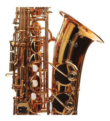 Imagen 4 de 7 de Saxofón Alto Dorado Cora By L. America + Accesorios