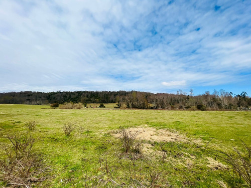 Se Vende Proyecto Aprobado Por Sag Panguipulli Los Lagos