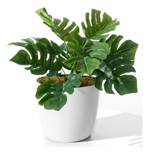 Planta Artificial Monstera Con Maceta Blanca Piedras Y Musgo