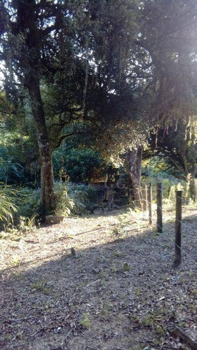 Imagem 6 de 11 de Sítio À Venda, 3600 M² Por R$ 85.000,00 - Águas Claras - Viamão/rs - Si0103