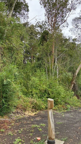 Imagen 5 de 9 de Sitios En Venta En Condominio En Cascadas Puerto Octay