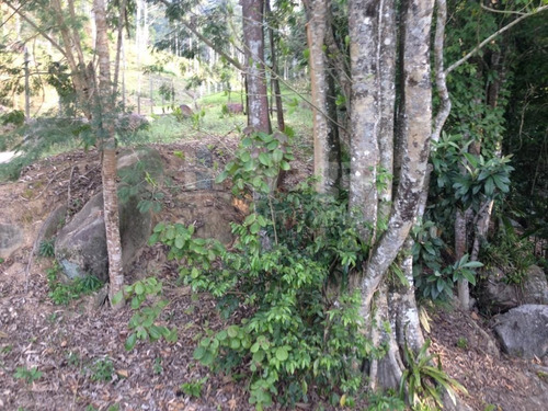 Imagem 8 de 14 de Terreno Para Chácara À Venda Em Canelinha/sc - 1669c