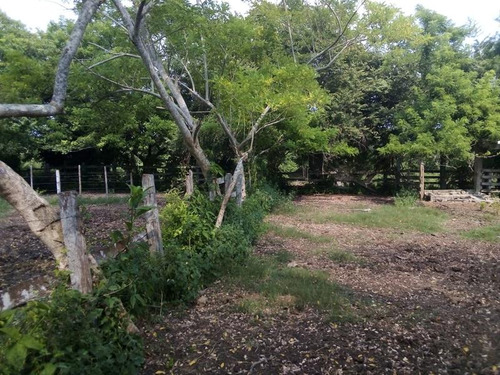 Venta Rancho Ganadero 100 Hectáreas Tamiahua Veracruz