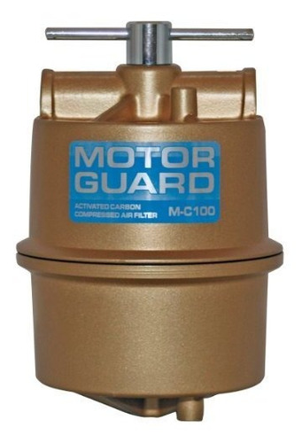 Filtro De Aire Comprimido De Carbón Activado Motor Guard M-c