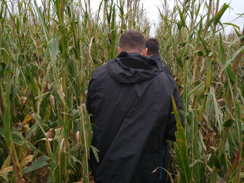 90 Ha Mixtas - Los Quirquinchos - 64 Agricolas - 26 Ganaderas