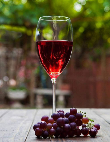Vino Tinto Espumoso World Table Lambrusco 750 Ml