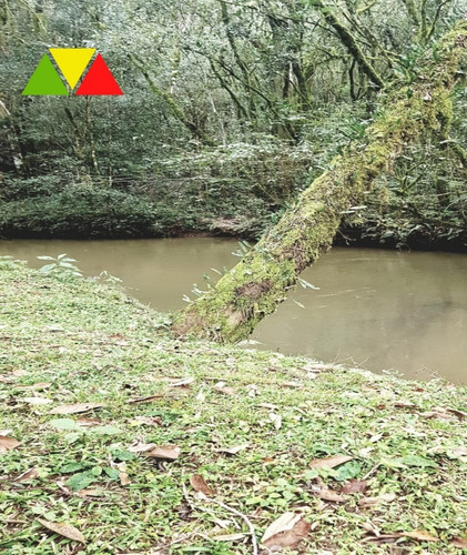 Imagem 26 de 30 de Chácara Em Cai De Baixo - Ch00088 - 34982990