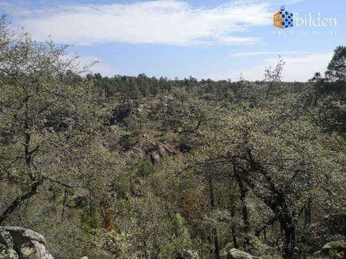 Imagen 5 de 9 de Terreno En Venta Sierra Durango