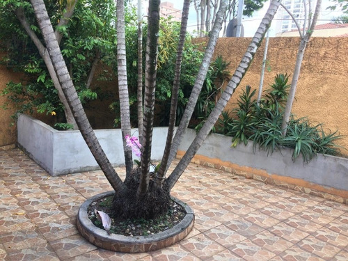 Imagem 24 de 25 de Casa Para Venda, 3 Dormitórios, Vila Moinho Velho - São Paulo - 12210
