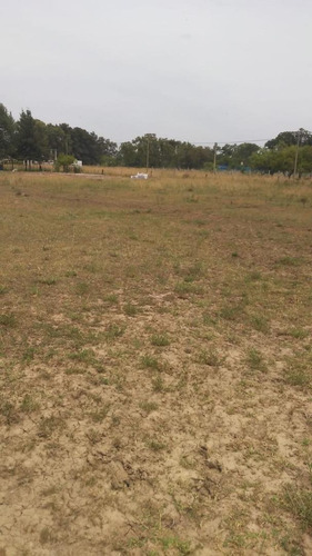 Hectárea De 5640 M2. Con Escritura Usd 65.000. Brandsen.