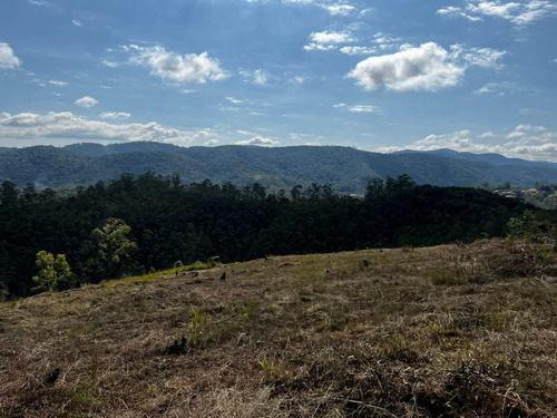 Imagem 9 de 10 de 08- Terreno A Venda Em Mairiporã