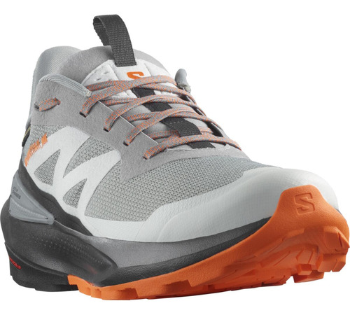 Zapatilla Hombre Elixir Activ Gtx Gris Salomon