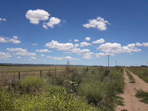 Campo Agricola En Venta En Villa Del Totoral Gutierrez 250ha