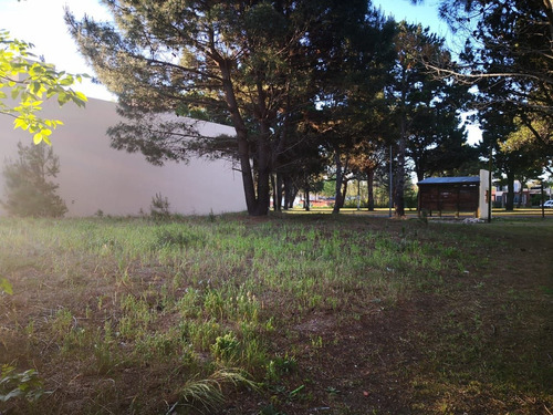 Imagen 12 de 14 de Terreno En Venta En San Bernardo