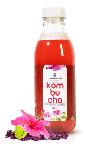 Kombucha Bebida Probiótica Detox Hidratante 500ml