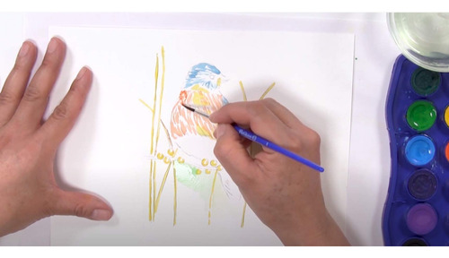 Acuarela Junior Pelikan 12 Colores Para Artista