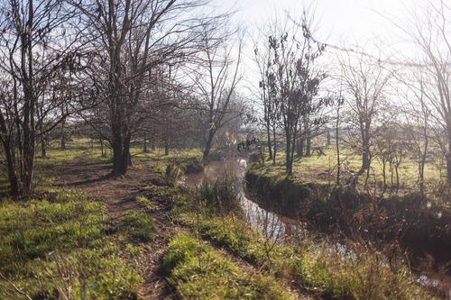 Campo En Venta En Pilar. Zona Champagnat