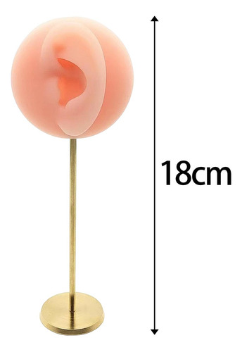 Modelo De Oreja, Soporte De Rosa Izquierda Rosa Izquierda