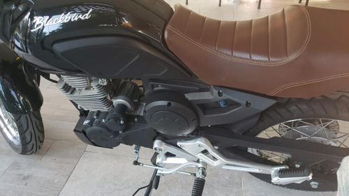 Imagen 6 de 13 de Motofeel Gdl - Italika Blackbird 250 @motofeelgdl