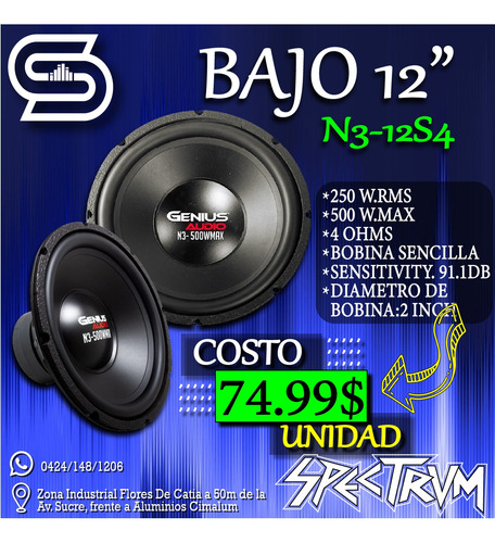 Bajo Genius 12 Pulgadas N3-12s4 500 Watts