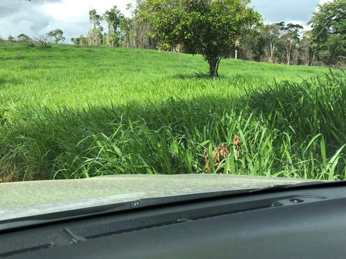 Imagem 6 de 15 de Fazenda Para Venda Em São Benedito Do Sul, Zona Rural - In - 006_1-2014337