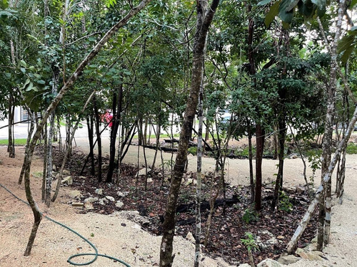Imagen 6 de 30 de Renta Departamento A Estrenar Selvanova Coto 8 Playa Del Car