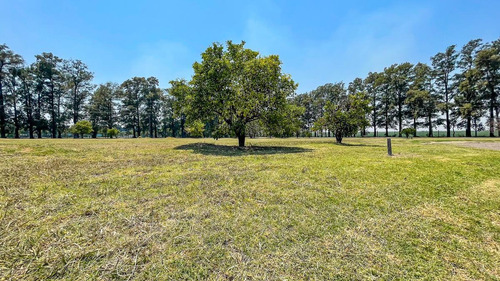 Venta! Terreno De 887 M2 En Azahares Del Paraná.