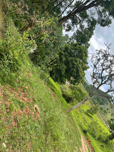 Imagem 10 de 21 de E12- Terrenos Para Construção Do Seu Sonho
