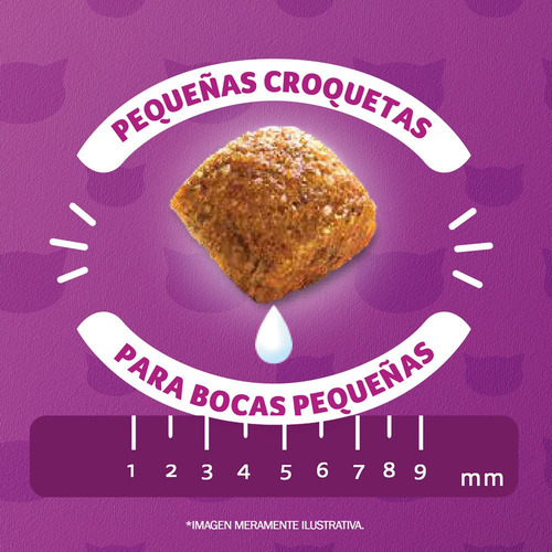 Imagen 4 de 9 de Whiskas Alimento Seco Para Gatitos Sabor Carne Y Leche 10kg