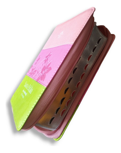 Biblia Rvr1960 Juvenil 11 Puntos Dama C/c E Indice 3 Tonos