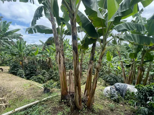 Vendo Lote Frente A Variante Condina/pereira