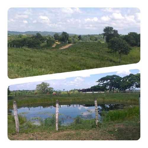 Imagen 13 de 14 de Finca En Venta En San Juan De Los Cayos