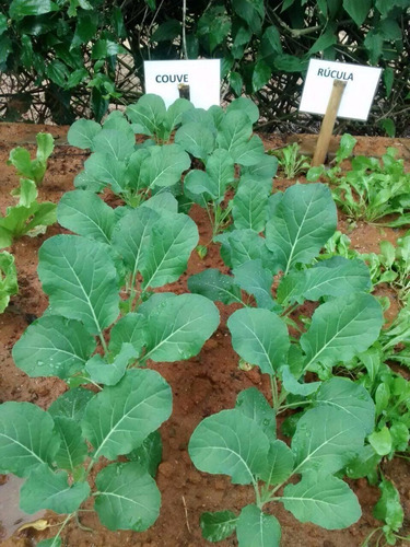 Chácara À Venda, 5 Quartos, 3 Suítes, 28 Vagas, Monterrey - Louveira/sp - 6585