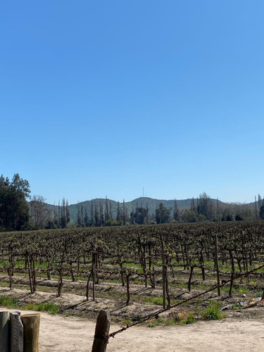 Inversionistas, 9 Ha, Isla De Maipo, A Cuadras Centro