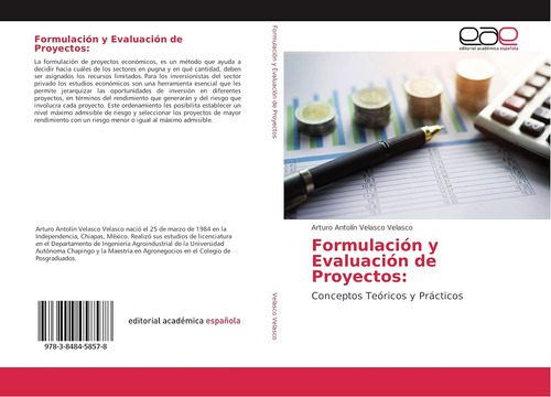 Libro: Formulación Y Evaluación De Proyectos:: Conceptos Teó