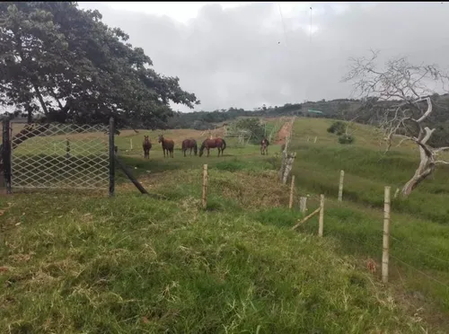 Vendo Finca Ganadera En Restrepo Valle