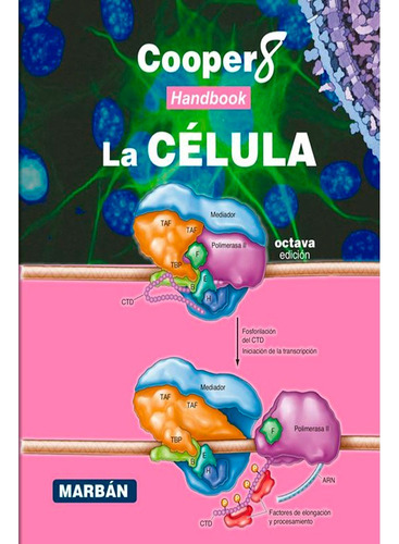 La Celula 8ª Edicion: La Celula 8ª Edicion, De Cooper. Editorial Marban, Tapa Blanda, Edición 1 En Español, 2022