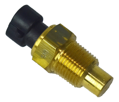 Sensor De Temperatura Walker 2111021