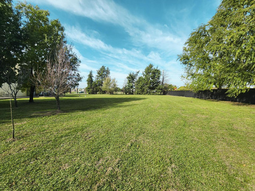Terreno Sobre Ruta 34 Con 1280m², Ibarlucea