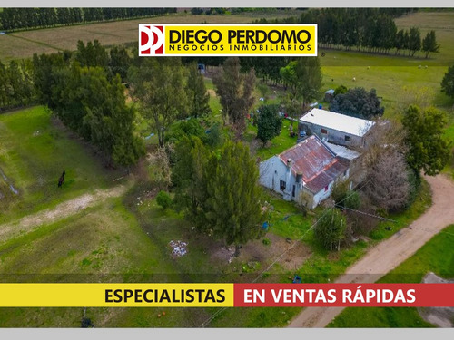 Chacra De 3,5 Ha En Venta, Colonia Wilson