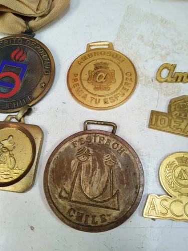 Medalla Antigua Digeder Y Otros (Usado)