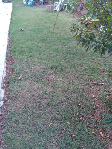 Imagem 6 de 30 de Chacara - Ch00205 - 68772128