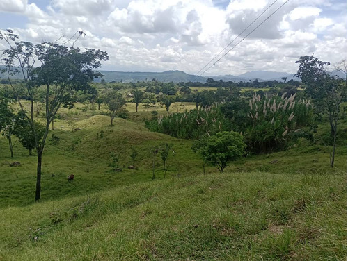 Em. Finca En El Piñal Con Trapiche 40 Hectáreas 